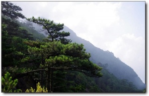 建瓯辰山_建瓯建瓯辰山_建瓯辰山