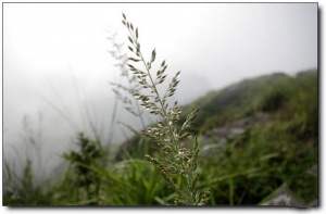 建瓯辰山_建瓯建瓯辰山_建瓯辰山