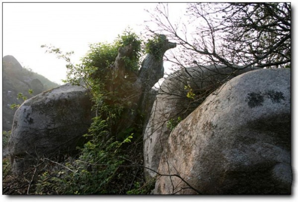 蟹龙岗_建瓯蟹龙岗_蟹龙岗