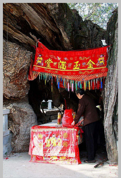 同安洪塘镇郭山村[公婆樟] - 树神 (2)_同安洪塘镇郭山村公婆樟-树神