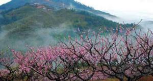 南埕桃花岛景区 (5)_南埕桃花岛景区