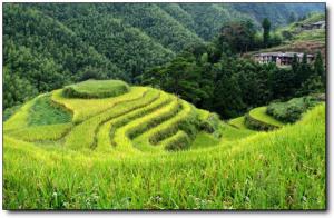 晋江戴云山 (5)_晋江戴云山