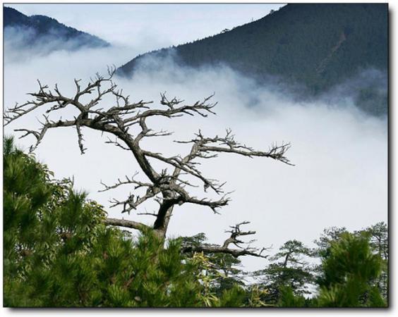 南安芹山 (1)_南安芹山