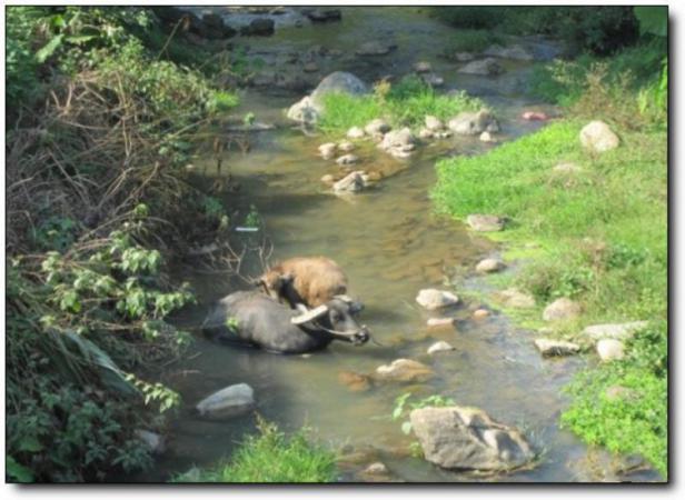 长泰九龙瀑 (2)_长泰九龙瀑