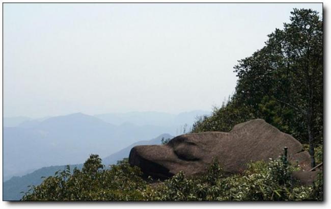 华安贡鸭山 (6)_华安贡鸭山