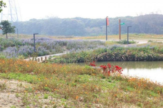 龙海郊野公园 (5)_漳州郊野公园_龙海郊野公园(福建漳州)_郊野公园