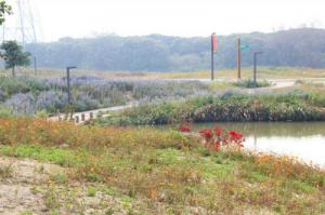 龙海郊野公园 (5)_漳州郊野公园_龙海郊野公园(福建漳州)_郊野公园