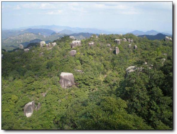 平和太极峰 (3)_平和太极峰