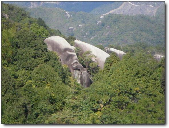 平和太极峰 (1)_平和太极峰