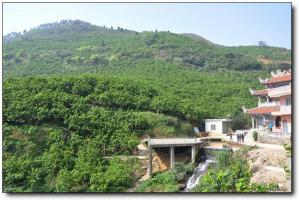 平和小西天风景区 (1)_平和小西天风景区