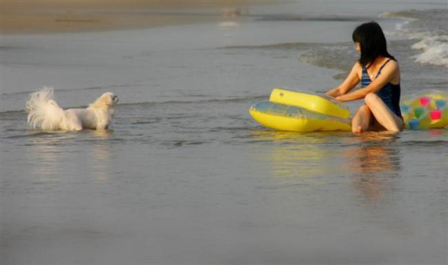 漳浦月光沙滩 (6)_漳浦月光沙滩