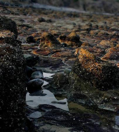 漳浦月光沙滩 (5)_漳浦月光沙滩