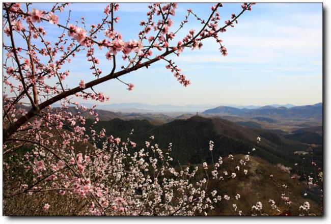 长乐九龙山庄 (6)_长乐九龙山庄