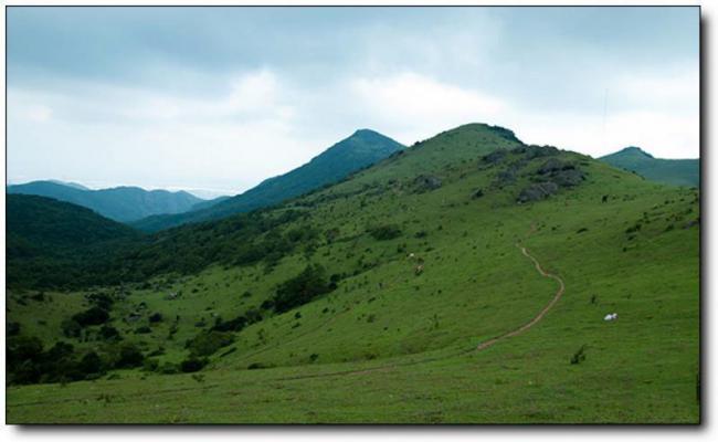 福清大姆山草场 (6)_福清大姆山草场