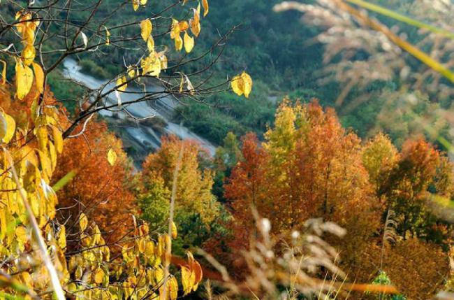 罗源禾山风景区 (4)_罗源禾山风景区