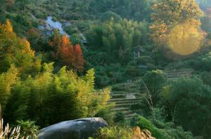 罗源禾山风景区 (2)_罗源禾山风景区