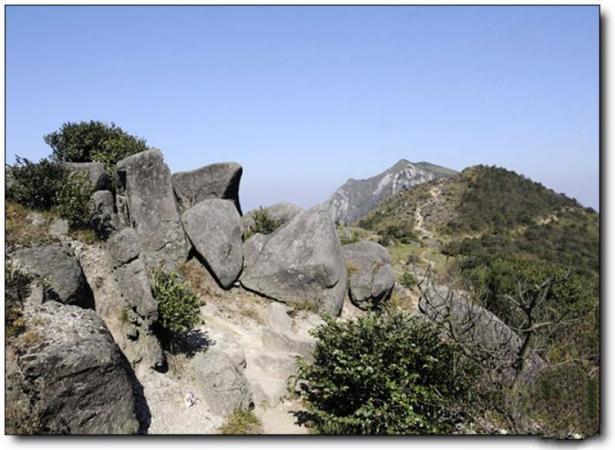 武平梁野山 (6)_武平梁野山