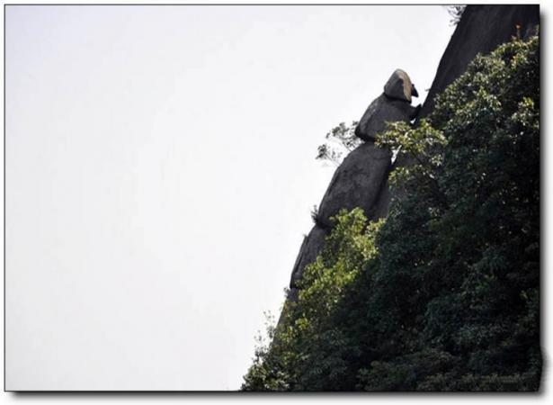 永定王寿山 (5)_永定王寿山