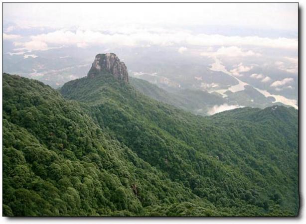 永定王寿山 (1)_永定王寿山