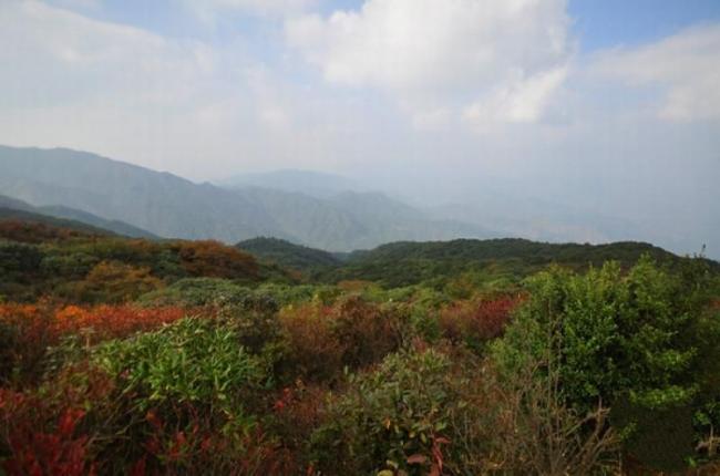 宁化牙梳山 (5)_宁化牙梳山