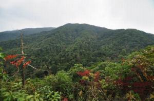 宁化牙梳山 (1)_宁化牙梳山