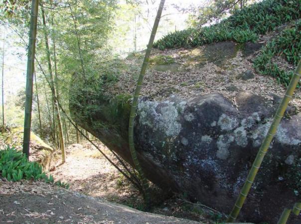 沙县小佑山 (5)_沙县小佑山