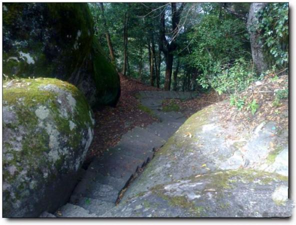 沙县松柏岩 (4)_沙县松柏岩