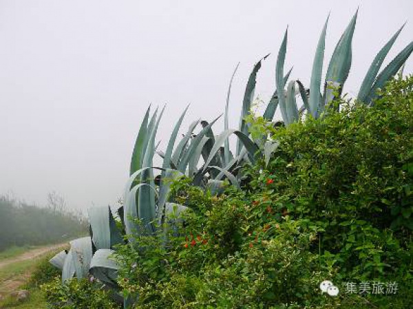 集美周边游|镇海卫，守一段天涯海角晴雨时！