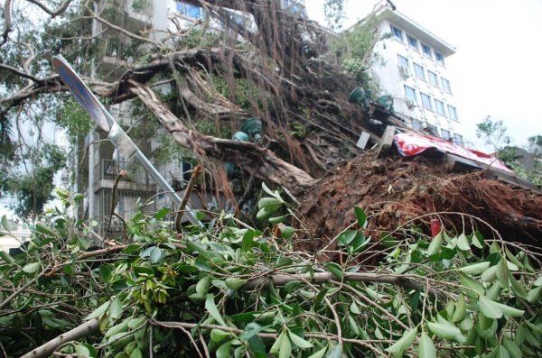 重要提示：重建家园鼓舞士气需要您的一份力！