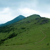 福清大姆山草场