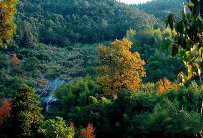 罗源禾山风景区 (6)_罗源禾山风景区