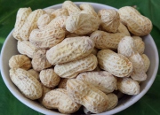 龙岩花生 福建龙岩湿烤花生500g 湿烤型原味花生