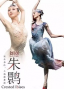 「75折优惠」《栀子花开》、《夜莺与玫瑰》、《朱鹮》