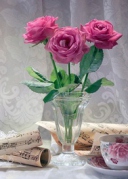 邀请持证心理咨询师免费上的NLP心理实操课