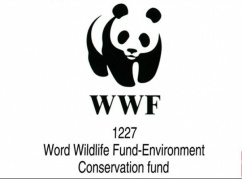 【嗨翻暑假】中国最有趣工作—熊猫观察员5日之旅再度来袭！