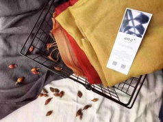 12.3(Sat.)植物染工作坊