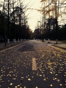 #互免约拍#天气那么好，出来走走吧