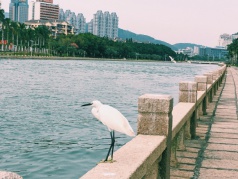 遇见另一个自己·红璞圣诞户外交友趴