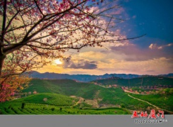 我和春天有个约会从赏浪漫樱花开始