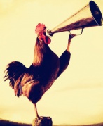 2017的新年第一天我们一起过！！！