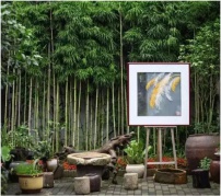 文化虫洞沙龙——纸间奇遇，以乐的剪纸世界