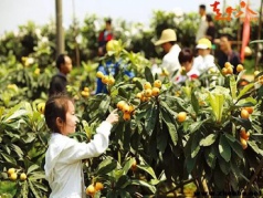 【周八】九鲤湖-遇见彩虹，登山赏瀑布，采摘枇杷，精美一日游