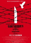 铁血残阳——在刺刀和藩篱下