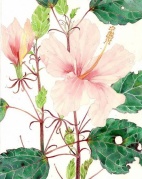 青木画室—成人水彩体验课