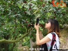 【周八】云洞岩-品盐鸡，赏闽南第一洞天；埭美古厝，游水上古民居