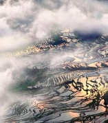 【周八】尤溪联合梯田+桂峰古民居纯玩两日游