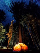 两天一夜星空露营趴（森林晚宴、露天影院、户外娱乐项目）