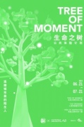 公共体验计划【TreeofMoment生命之树】即将开始