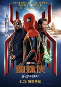 蜘蛛侠：英雄远征Spider-ManFarfromHome